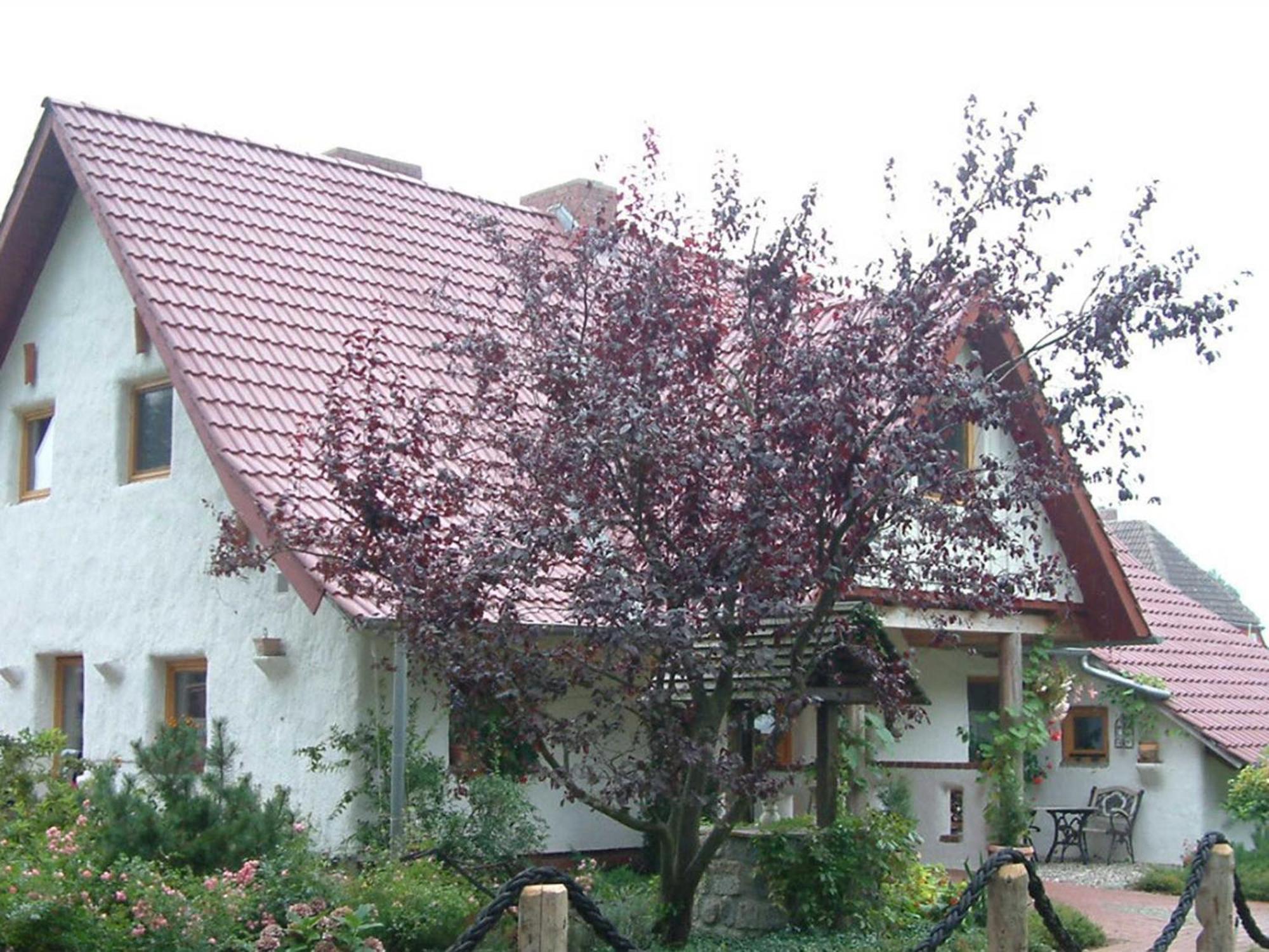 Haus Jasmin Apartment Bodstedt Ngoại thất bức ảnh